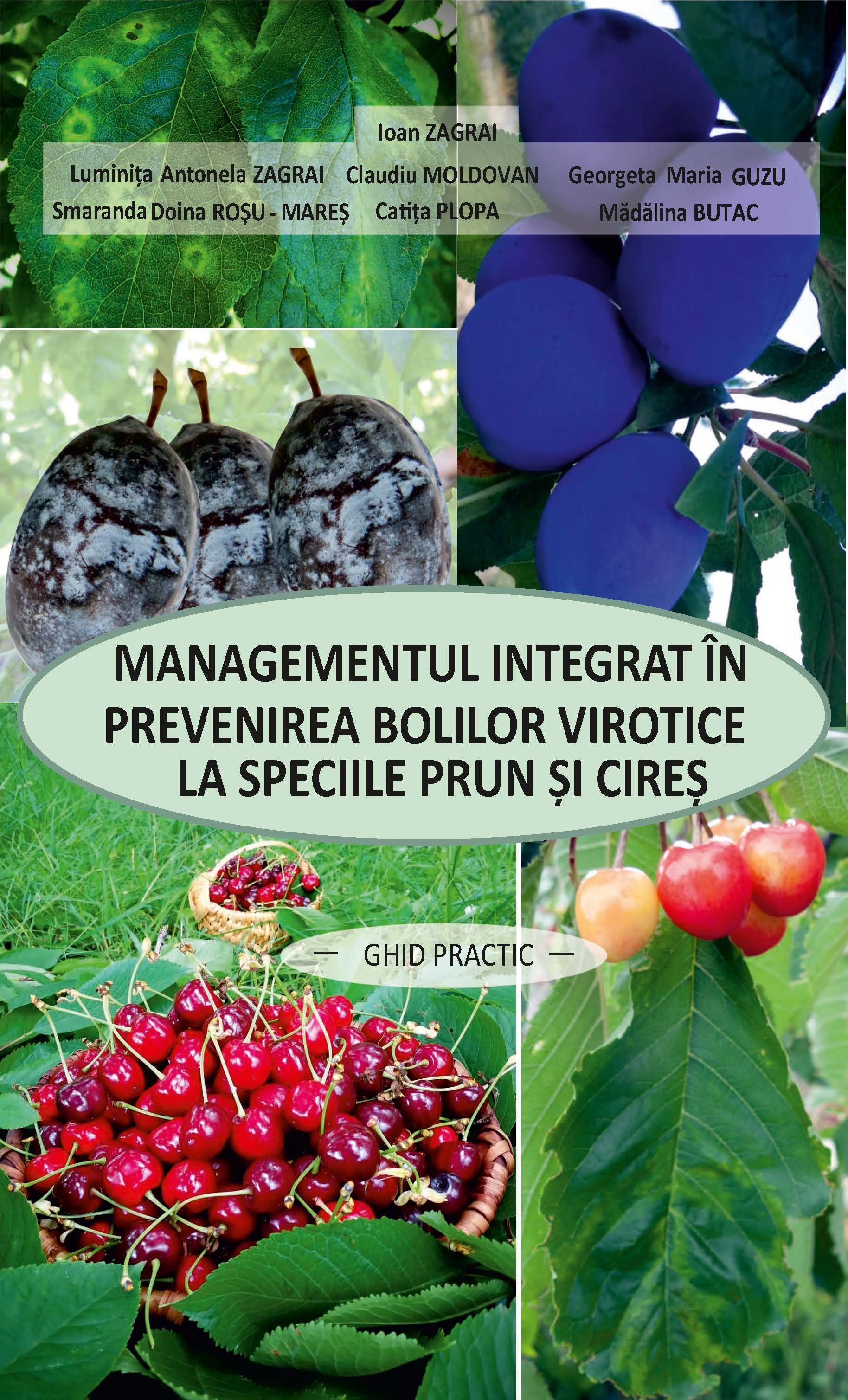 Ghid practic - Managementul integrat în prevenirea bolilor virotice la speciile prun și cireș